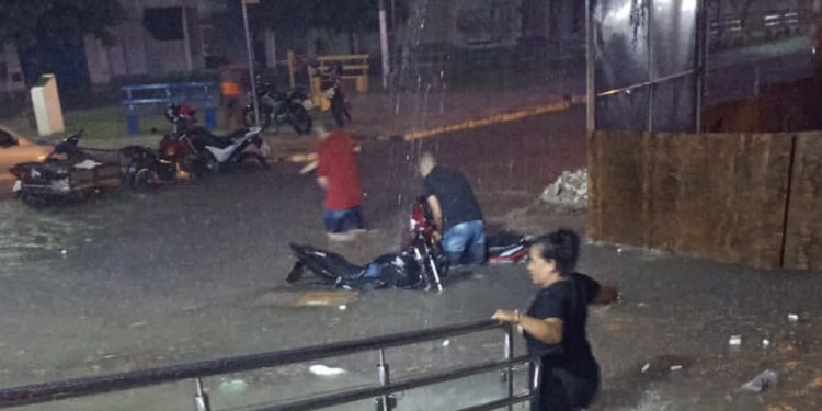 Chuva com vento alaga ruas e derruba àrvores em Pau dos Ferros