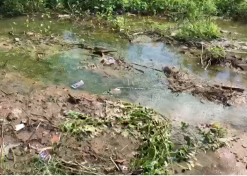 Moradores do Conjunto Wilson Rosado reclamam de lagoa que acumula sujeira e facilita a proliferação de insetos