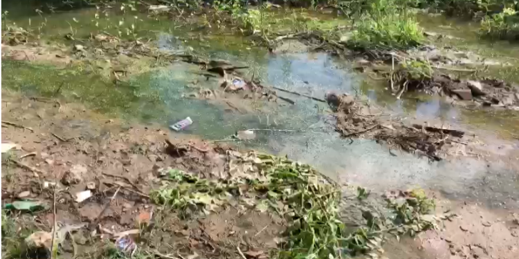 Moradores do Conjunto Wilson Rosado reclamam de lagoa que acumula sujeira e facilita a proliferação de insetos