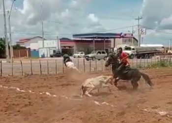 Vaqueiro sofre acidente grave durante vaquejada em Serra do Mel/RN