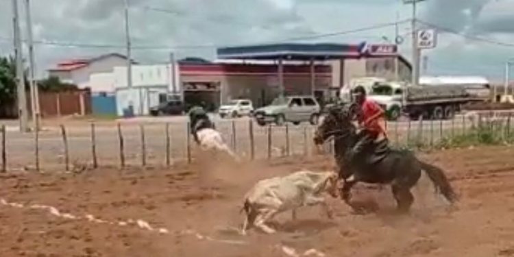 Vaqueiro sofre acidente grave durante vaquejada em Serra do Mel/RN