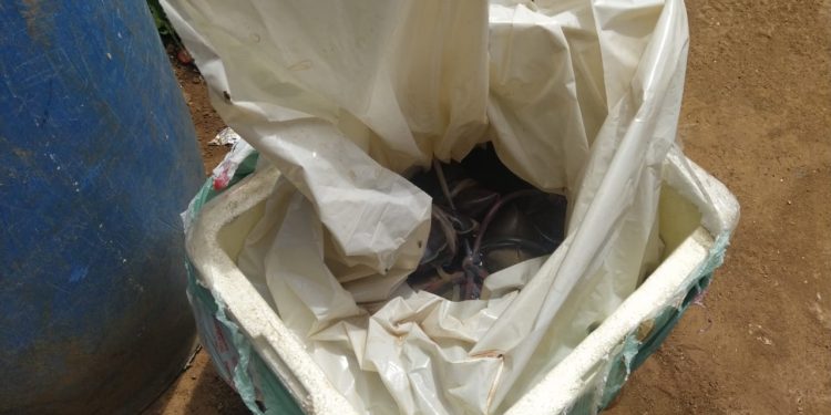 Catador encontra bolsas de sangue na rodoviária de Mossoró/RN