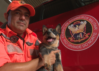 Corpo de Bombeiros ganha reforço especial em Mossoró