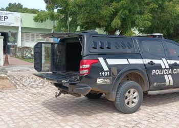 Polícia Militar prende homem suspeito de estupro de vulnerável