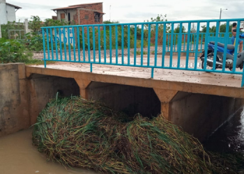 Canal no Conjunto Santa Helena fica entupido com mato após chuvas