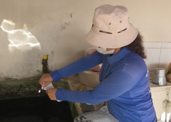 Levantamento revela alta nos focos de Aedes Aegypti em Mossoró