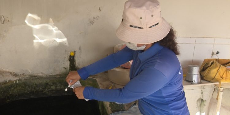 Levantamento revela alta nos focos de Aedes Aegypti em Mossoró