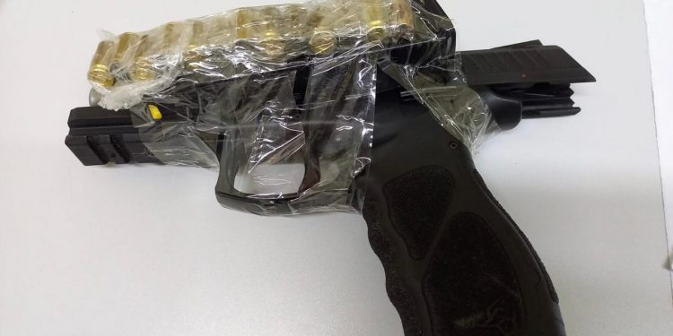 Vigilante mata cachorro com 12 tiros no bairro Nova Mossoró