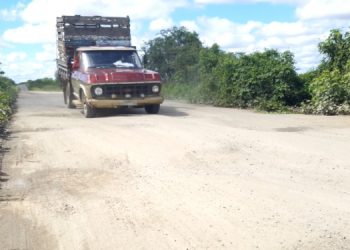 Motoristas reclamam de trecho da RN 233 entre Caraúbas e Apodi