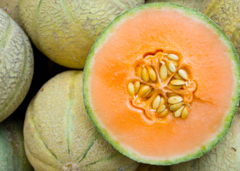 Mossoró é a cidade que mais produz melão no Brasil