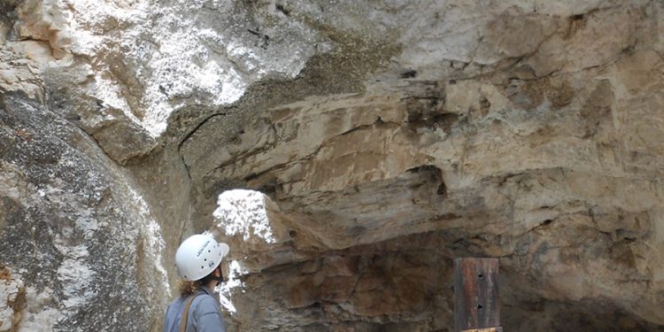 RN pode ter uma das maiores reservas de lítio do Brasil