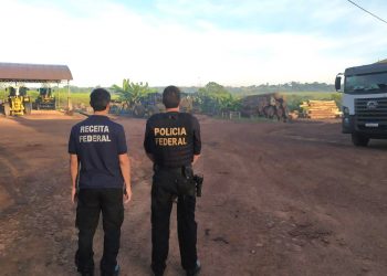 Operação combate comercialização e transporte ilegal de madeiras do Pará para o RN e PB