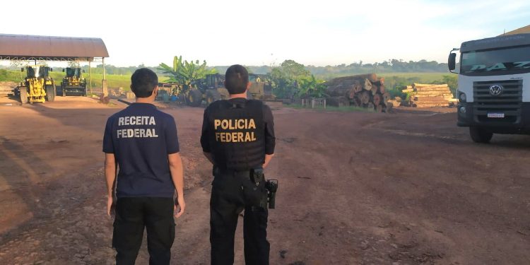 Operação combate comercialização e transporte ilegal de madeiras do Pará para o RN e PB
