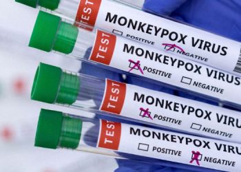 Caso de varíola dos macacos é confirmado no RN