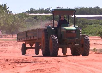 Fruticultura prevê queda na safra de 2022