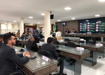 Vereadores aliados questionam convocação de secretário Rodrigo Lima