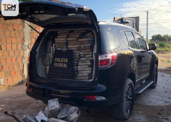 Mais de cinco toneladas de drogas são apreendidas em Areia Branca