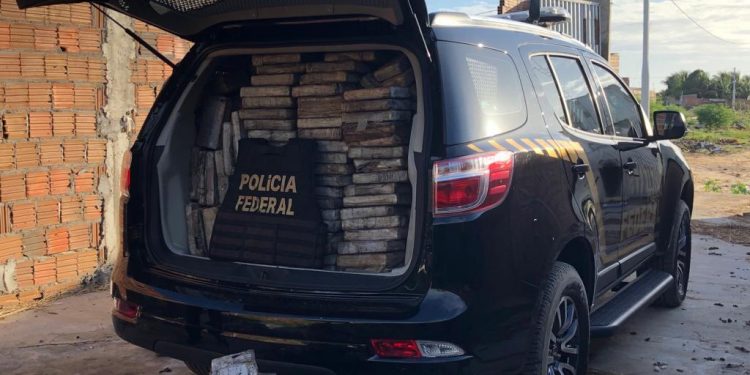 Mais de cinco toneladas de drogas são apreendidas em Areia Branca