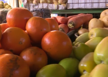 Frutas, verduras e carnes registram maior alta de preço em um ano