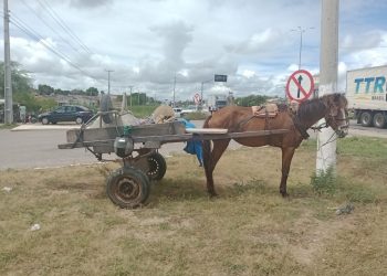 Mulher morre após bater em carroça em Mossoró