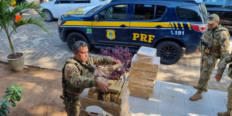 PRF apreende grande quantidade de maconha no Agreste Potiguar