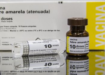 Dia D de vacinação contra febre amarela acontece neste sábado (06)