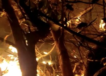 Incêndio em terreno baldio assusta moradores em Tibau