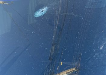 Carro de vereador é atingido por disparos de arma de fogo em Mossoró