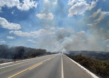 Incêndio atinge margens da BR 304 em Assú