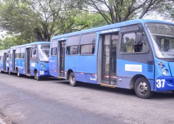 Transporte público terá horário especial e tarifa reduzida para Procissão de Santa Luzia