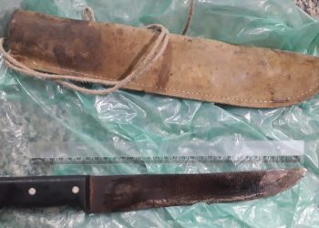 Mulher morre após ser ferida com facão em Carnaubais