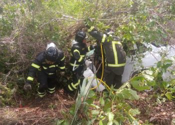 Jovem morre em acidente na BR 405; família o procurava desde a noite anterior