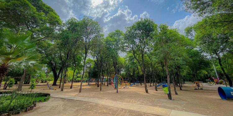Confira o que fazer em Mossoró durante o Carnaval