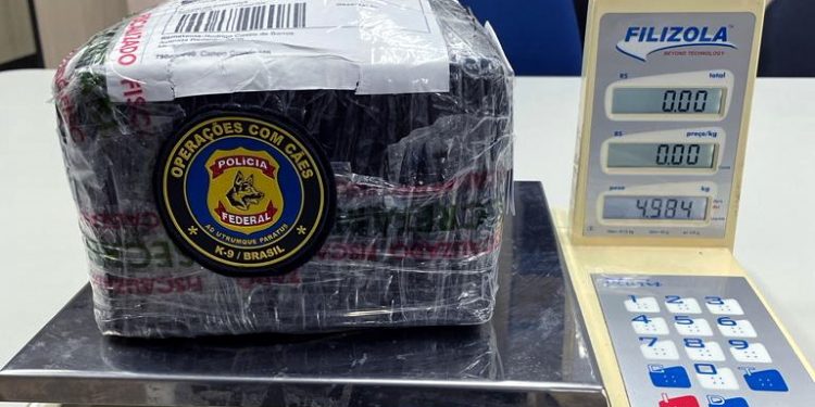 PF apreende maconha “engessada” remetida para o RN via Correios