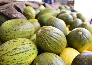 Produtos do agronegócio responderam por 34,5% das exportações do RN em 2022