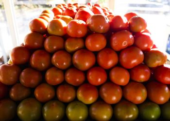 Tomate é o item da Cesta Básica que registrou maior alta, em Mossoró