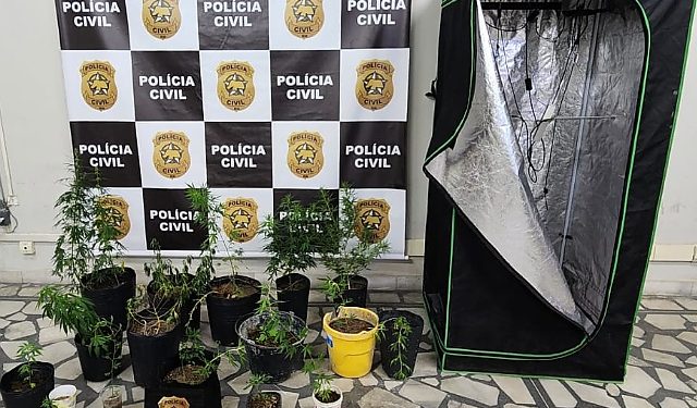 Homem é preso cultivando maconha dentro de casa em Mossoró