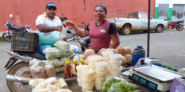Força feminina no campo: mulheres conquistam autonomia