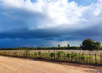 RN registra chuvas em todas as regiões; veja imagens