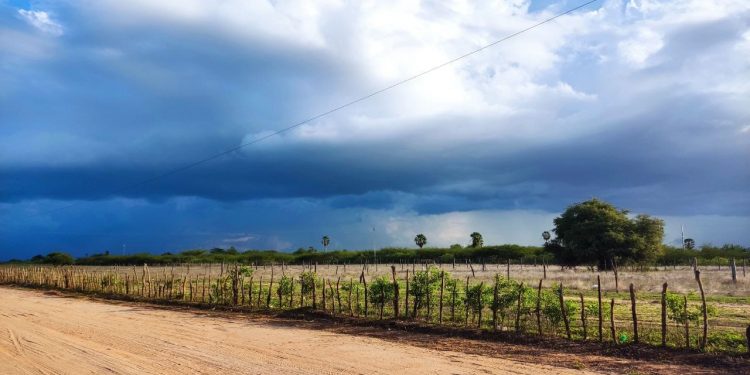 RN registra chuvas em todas as regiões; veja imagens