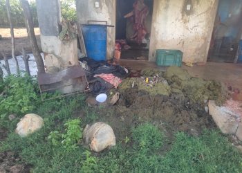 Polícia Militar encontra abatedouro irregular de carne em Apodi