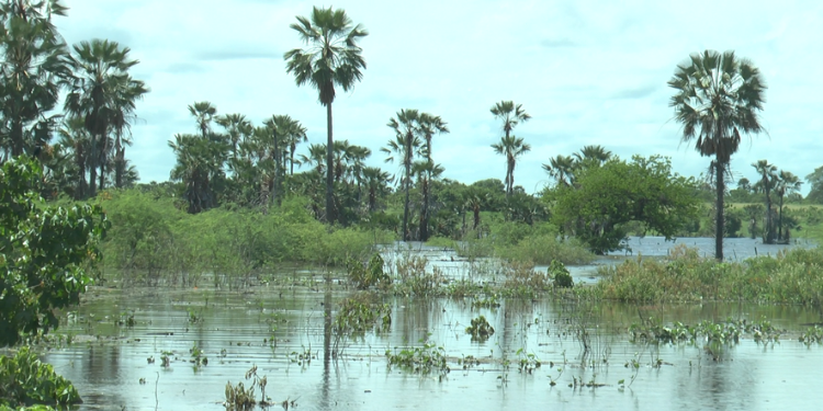 Com aumento do nível do Apanha Peixe, Apodi e Felipe Guerra emitem alerta à população