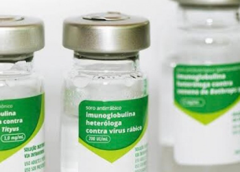 Hospitais regionais de Mossoró e Pau dos Ferros estão com estoque crítico de soro antirrábico