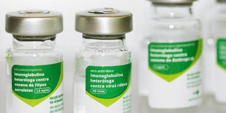 Hospitais regionais de Mossoró e Pau dos Ferros estão com estoque crítico de soro antirrábico