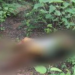 Corpo de mulher é encontrado em decomposição em Serra do Mel