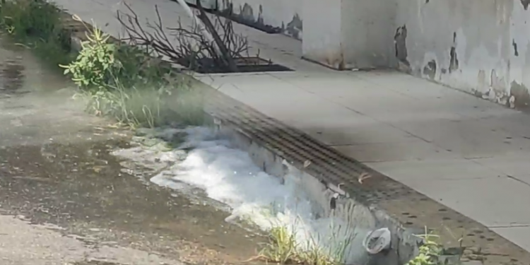 Baleia mossoroense está viva? Água saindo da parte de trás do Teatro chama a atenção da população