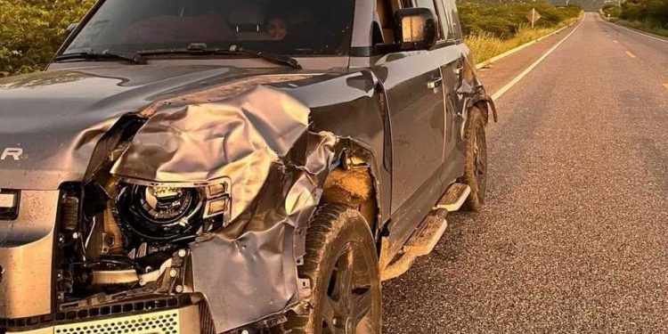 Animal na pista causa acidente com a cantora Taty Girl