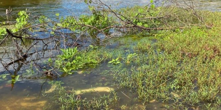 Defesa Civil monitora elevação do nível do Rio Apodi-Mossoró