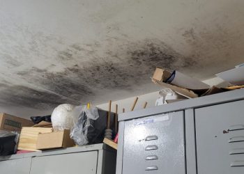 Tribunal de Contas fiscaliza infraestrutura de escolas públicas do RN