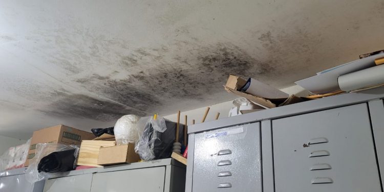 Tribunal de Contas fiscaliza infraestrutura de escolas públicas do RN